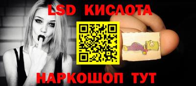 шишки Новозыбков