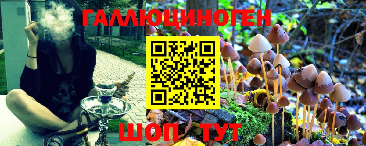 Галлюциногенные грибы мухоморы Усинск